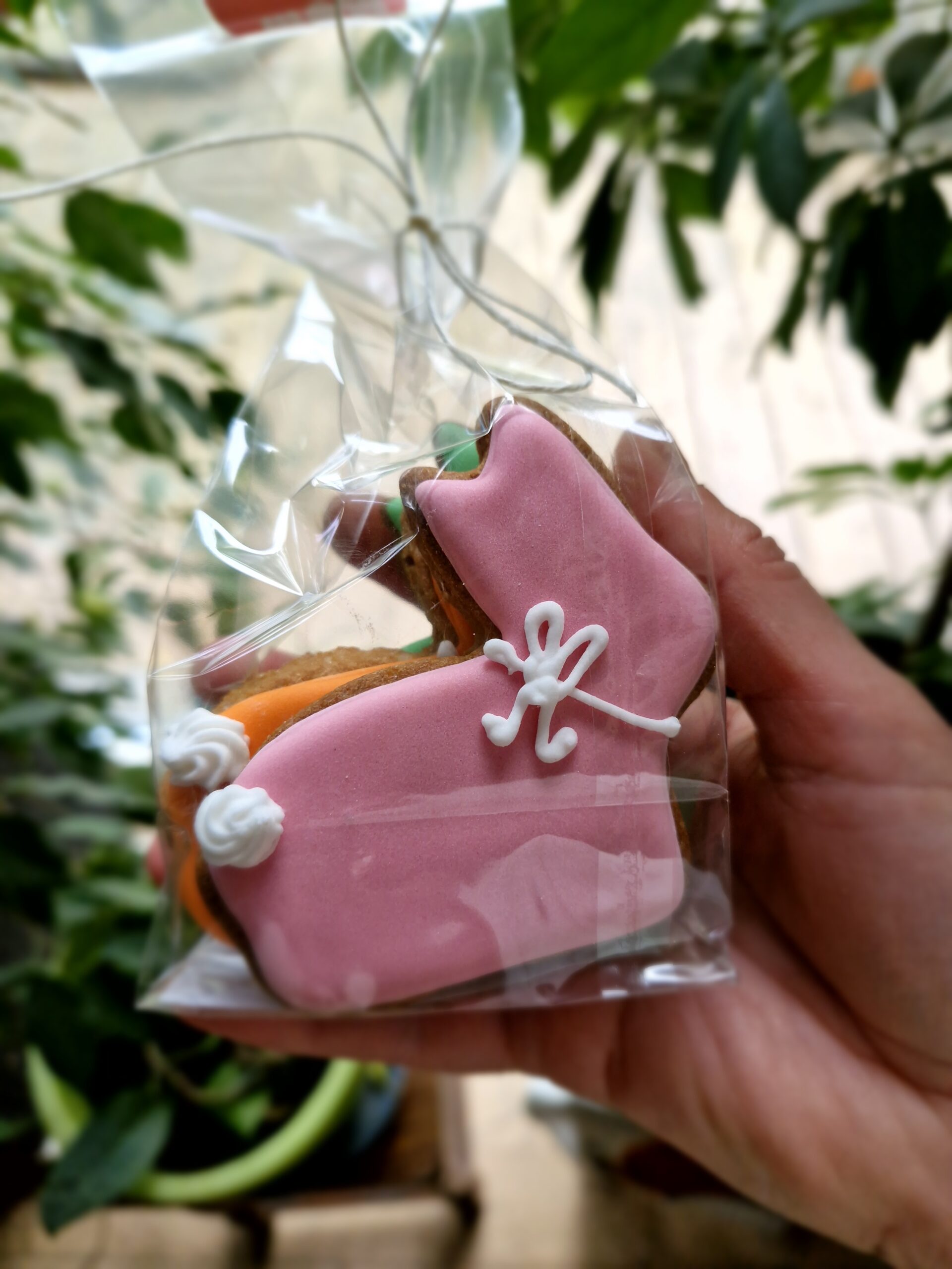 Biscuits artisanaux Le quatuor Lapinoufs (4 big)