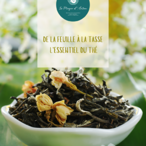 Mon e-book : votre guide pratique pour découvrir le monde fascinant du thé