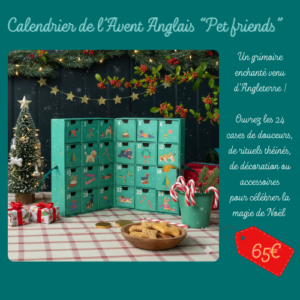 🎄Noël - Calendrier de l'Avent "Pet friends" from England !
