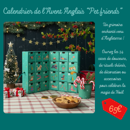 🎄Noël - Calendrier de l'Avent "Pet friends" from England !