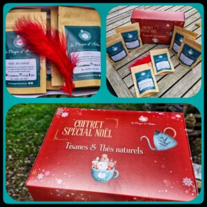 🎄Noël 🎄- coffret spécial L'ELIXIR des contes de Noël