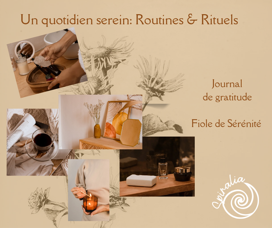 11-06 – quotidien heureux