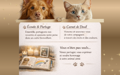 Dimanche 21 juin – Carnet de deuil animal