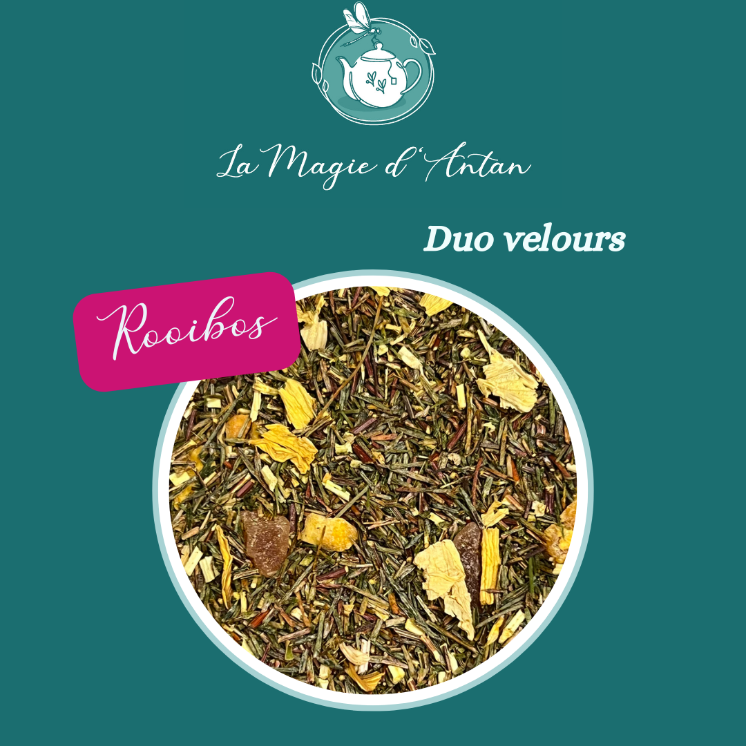 Tisane Rooïbos vert - Duo velours