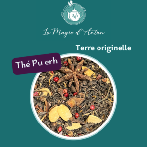 Thé Pu erh - Terre Originelle