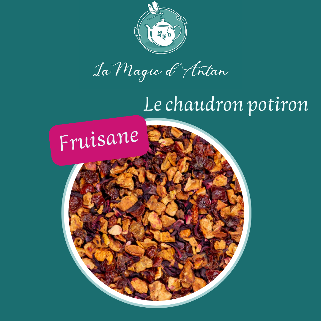 Tisane Le chaudron potiron