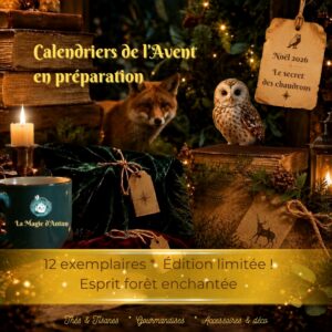 Prévente Edition LIMITÉE * 2026 Calendrier de l'Avent artisanal - Esprit FORÊT enchantée