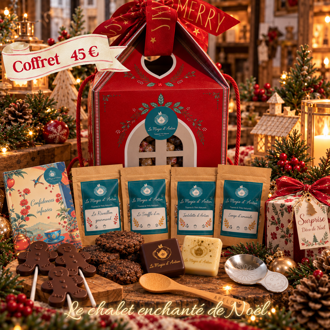 Coffret cadeau - Le chalet enchanté de Noël